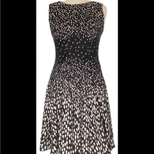 Eliza J Black and White Fit and Flare Mini Dress Nordstrom 20W